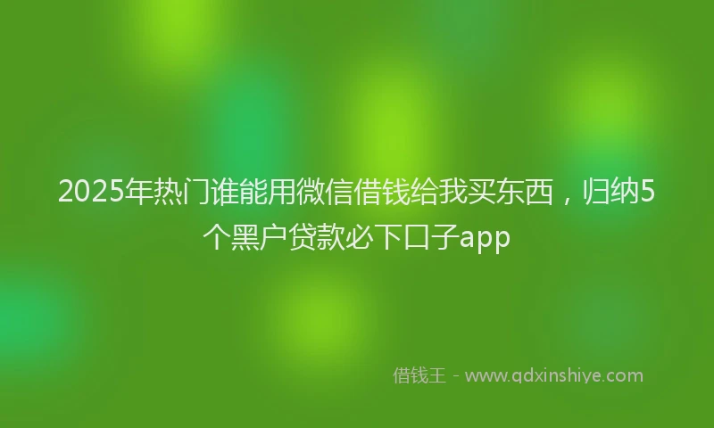 2025年热门谁能用微信借钱给我买东西，归纳5个黑户贷款必下口子app