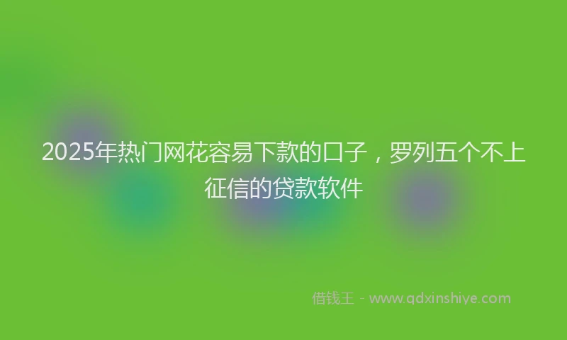2025年热门网花容易下款的口子，罗列五个不上征信的贷款软件