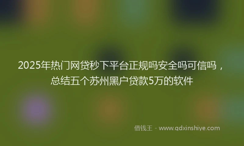 2025年热门网贷秒下平台正规吗安全吗可信吗，总结五个苏州黑户贷款5万的软件
