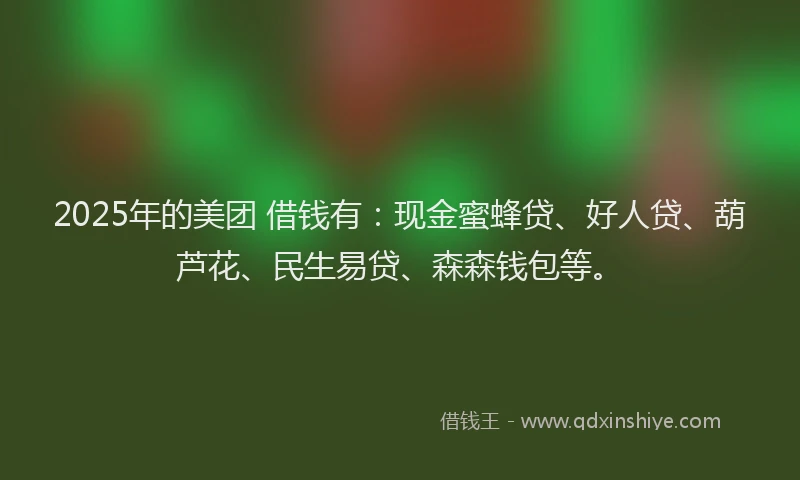2025年的美团 借钱有：现金蜜蜂贷、好人贷、葫芦花、民生易贷、森森钱包等。