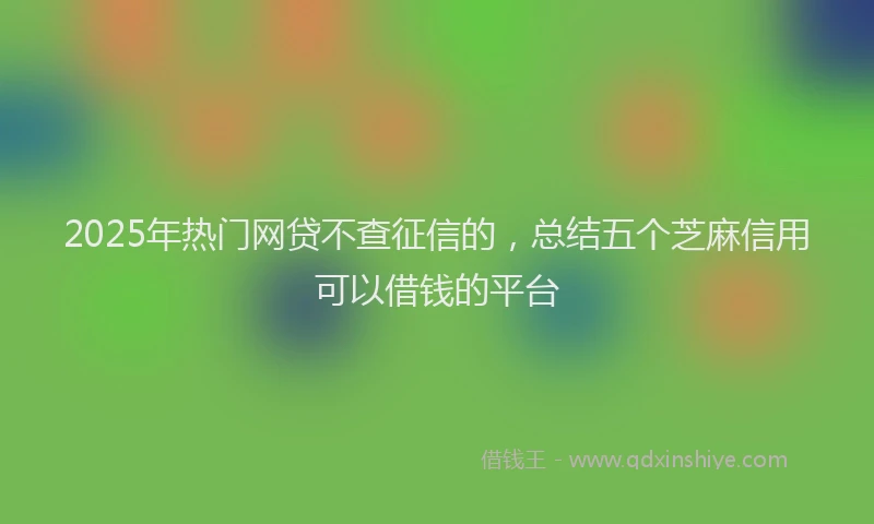 2025年热门网贷不查征信的，总结五个芝麻信用可以借钱的平台