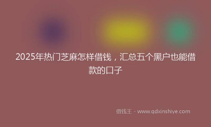 2025年热门芝麻怎样借钱，汇总五个黑户也能借款的口子