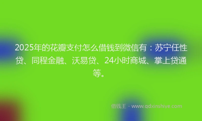 2025年的花瓣支付怎么借钱到微信有：苏宁任性贷、同程金融、沃易贷、24小时商城、掌上贷通等。