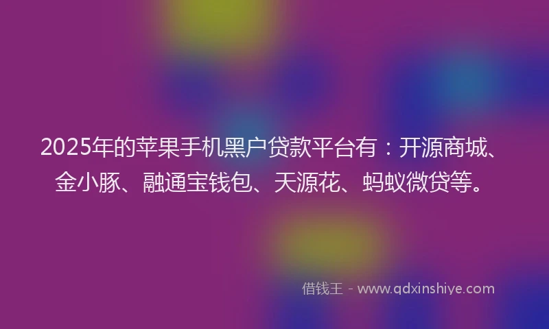 2025年的苹果手机黑户贷款平台有：开源商城、金小豚、融通宝钱包、天源花、蚂蚁微贷等。