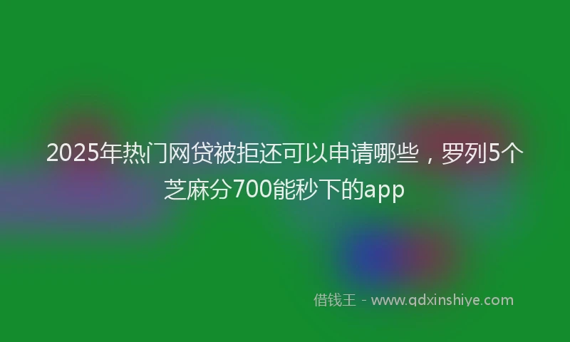 2025年热门网贷被拒还可以申请哪些，罗列5个芝麻分700能秒下的app