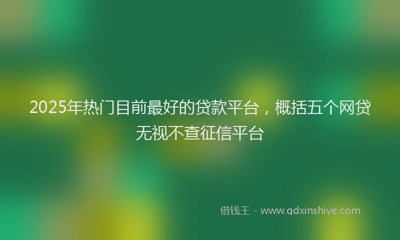 2025年热门目前最好的贷款平台，概括五个网贷无视不查征信平台