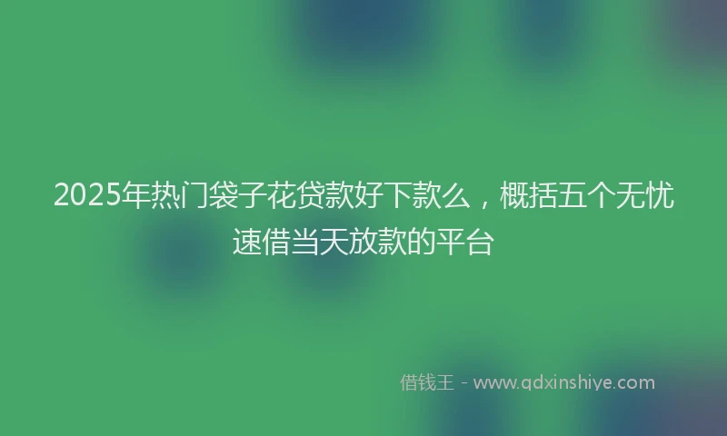 2025年热门袋子花贷款好下款么，概括五个无忧速借当天放款的平台