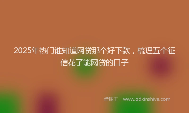 2025年热门谁知道网贷那个好下款，梳理五个征信花了能网贷的口子