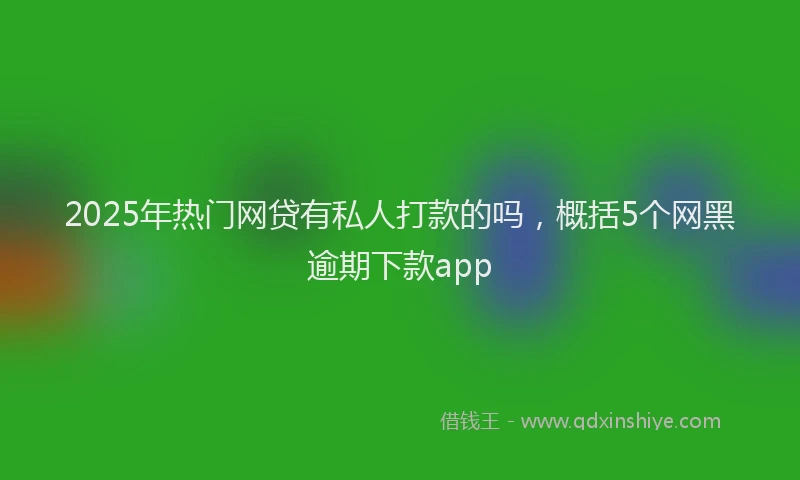 2025年热门网贷有私人打款的吗，概括5个网黑逾期下款app