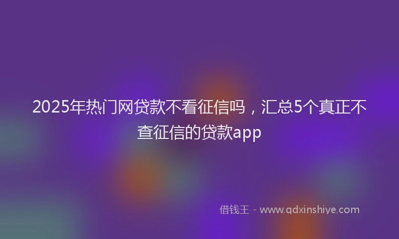 2025年热门网贷款不看征信吗，汇总5个真正不查征信的贷款app