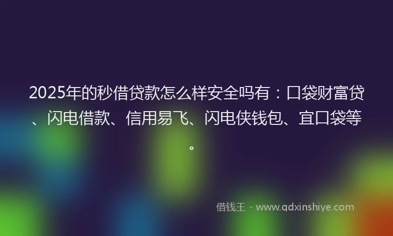 2025年的秒借贷款怎么样安全吗有：口袋财富贷、闪电借款、信用易飞、闪电侠钱包、宜口袋等。