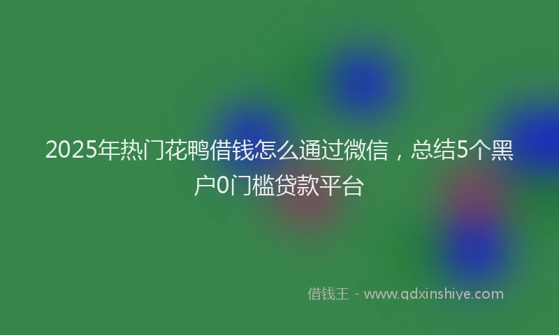 2025年热门花鸭借钱怎么通过微信，总结5个黑户0门槛贷款平台