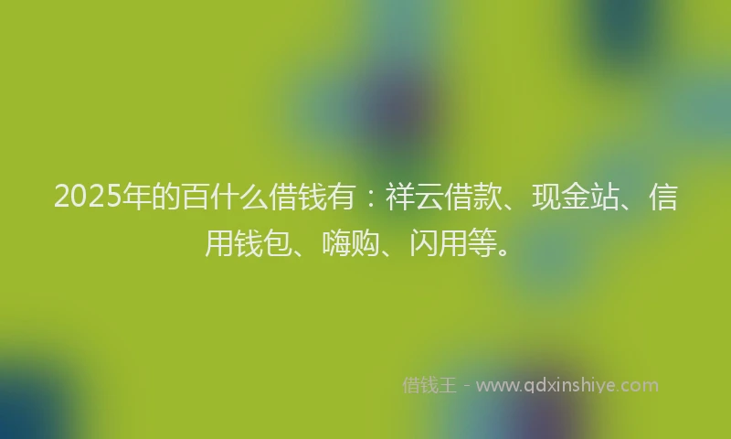 2025年的百什么借钱有：祥云借款、现金站、信用钱包、嗨购、闪用等。