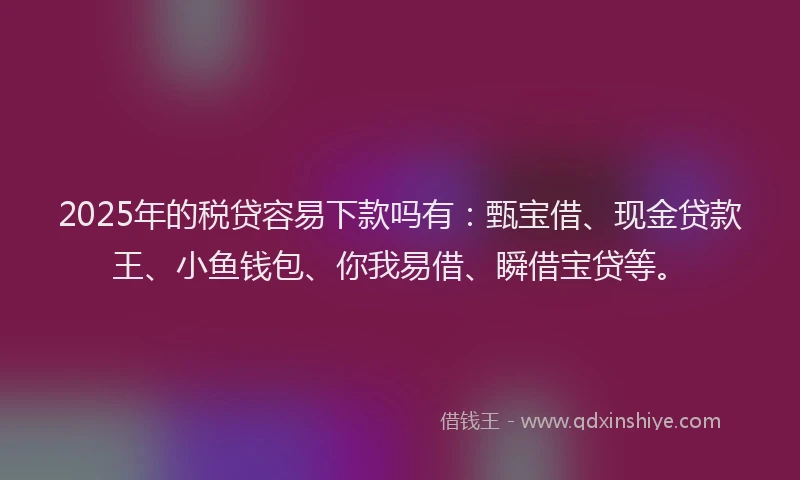 2025年的税贷容易下款吗有：甄宝借、现金贷款王、小鱼钱包、你我易借、瞬借宝贷等。