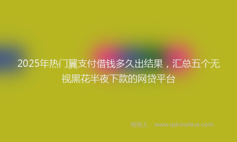 2025年热门翼支付借钱多久出结果，汇总五个无视黑花半夜下款的网贷平台