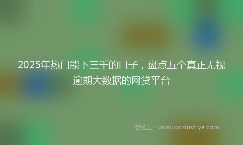 2025年热门能下三千的口子，盘点五个真正无视逾期大数据的网贷平台