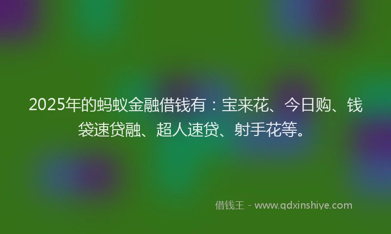 2025年的蚂蚁金融借钱有：宝来花、今日购、钱袋速贷融、超人速贷、射手花等。