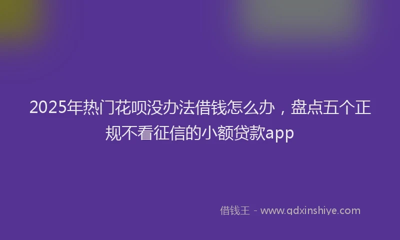 2025年热门花呗没办法借钱怎么办，盘点五个正规不看征信的小额贷款app