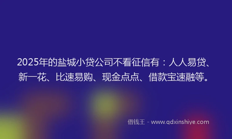2025年的盐城小贷公司不看征信有：人人易贷、新一花、比速易购、现金点点、借款宝速融等。