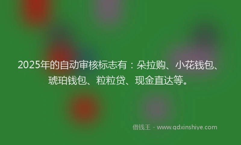 2025年的自动审核标志有：朵拉购、小花钱包、琥珀钱包、粒粒贷、现金直达等。