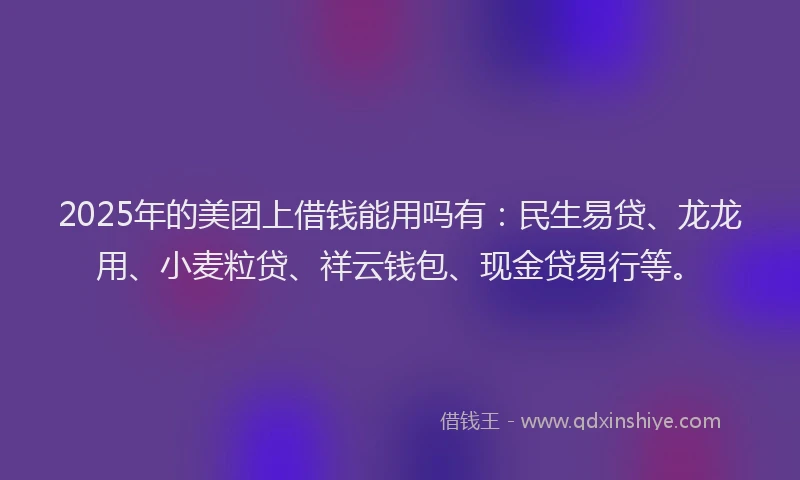 2025年的美团上借钱能用吗有：民生易贷、龙龙用、小麦粒贷、祥云钱包、现金贷易行等。