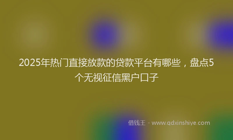 2025年热门直接放款的贷款平台有哪些，盘点5个无视征信黑户口子