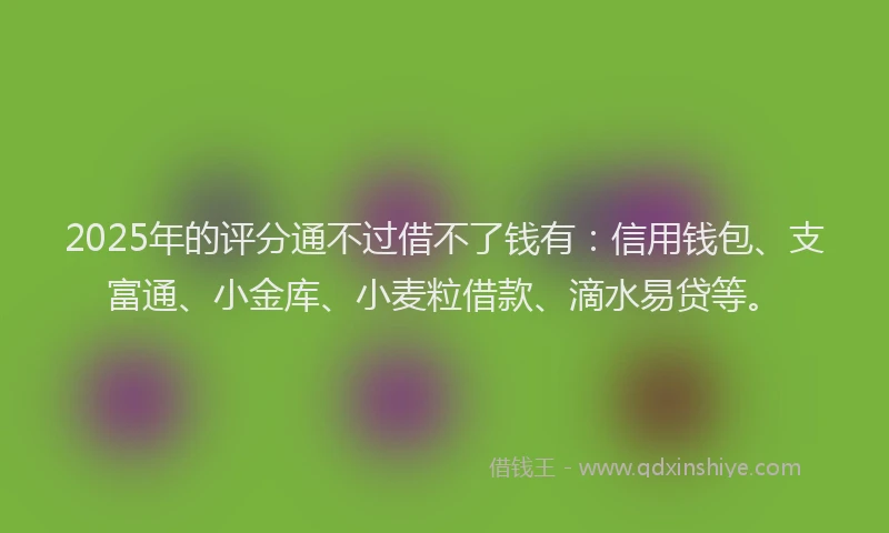 2025年的评分通不过借不了钱有：信用钱包、支富通、小金库、小麦粒借款、滴水易贷等。