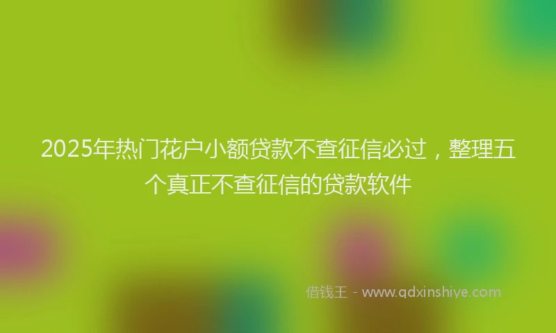 2025年热门花户小额贷款不查征信必过，整理五个真正不查征信的贷款软件