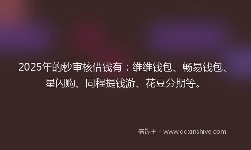 2025年的秒审核借钱有：维维钱包、畅易钱包、星闪购、同程提钱游、花豆分期等。