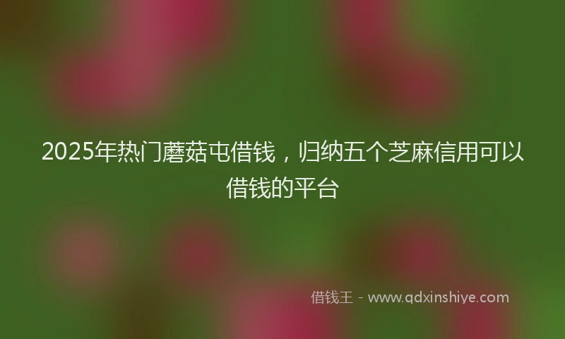 2025年热门蘑菇屯借钱，归纳五个芝麻信用可以借钱的平台