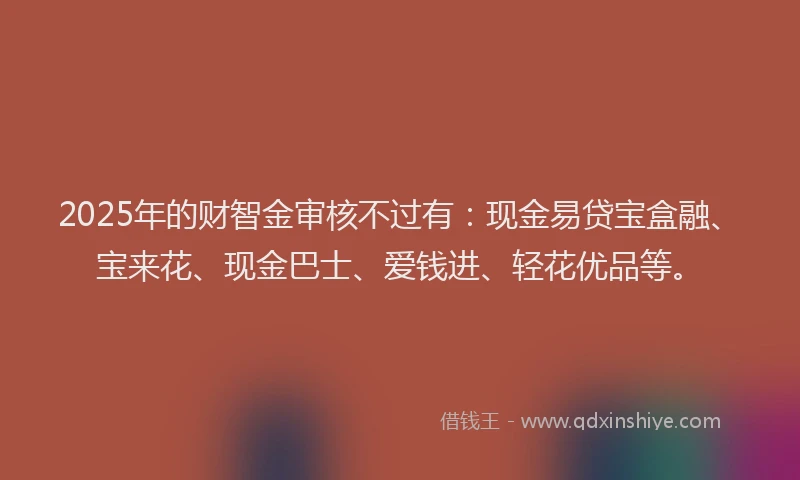 2025年的财智金审核不过有：现金易贷宝盒融、宝来花、现金巴士、爱钱进、轻花优品等。