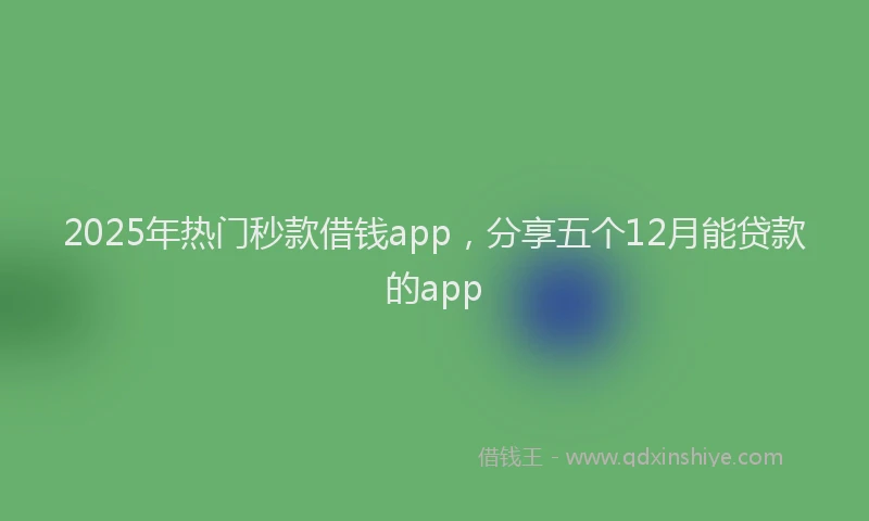 2025年热门秒款借钱app，分享五个12月能贷款的app