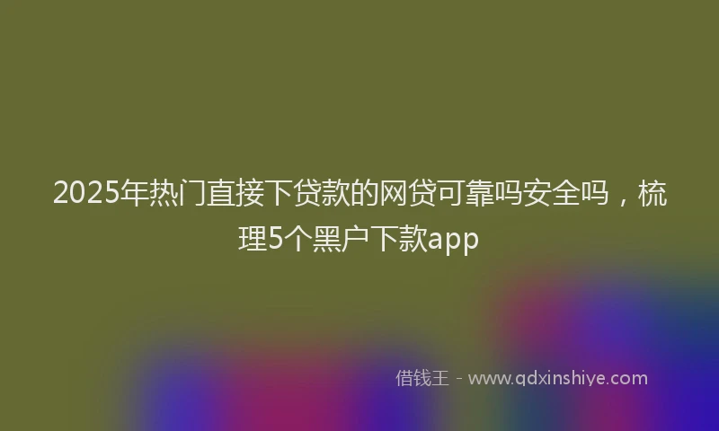 2025年热门直接下贷款的网贷可靠吗安全吗，梳理5个黑户下款app