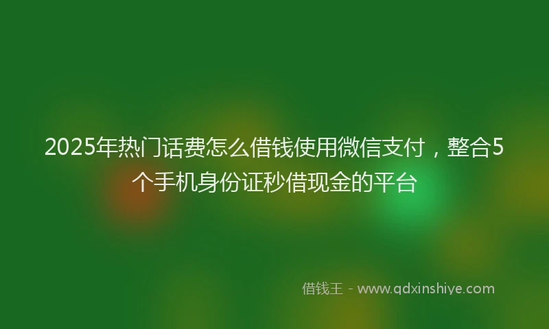 2025年热门话费怎么借钱使用微信支付，整合5个手机身份证秒借现金的平台