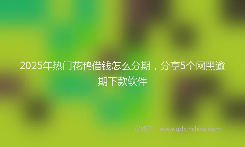 2025年热门花鸭借钱怎么分期，分享5个网黑逾期下款软件