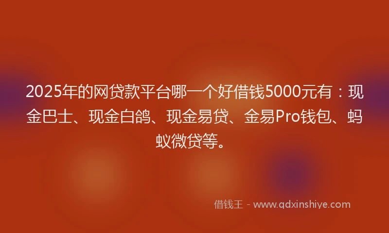 2025年的网贷款平台哪一个好借钱5000元有：现金巴士、现金白鸽、现金易贷、金易Pro钱包、蚂蚁微贷等。