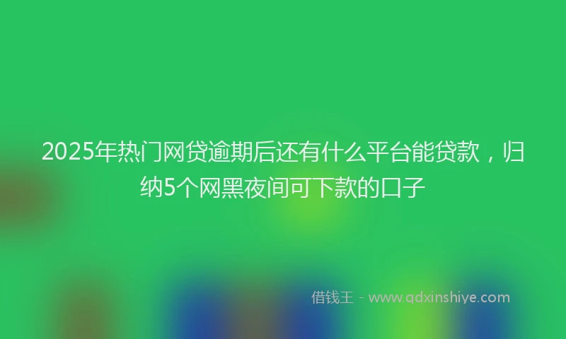 2025年热门网贷逾期后还有什么平台能贷款，归纳5个网黑夜间可下款的口子