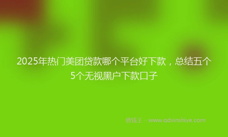2025年热门美团贷款哪个平台好下款，总结五个5个无视黑户下款口子