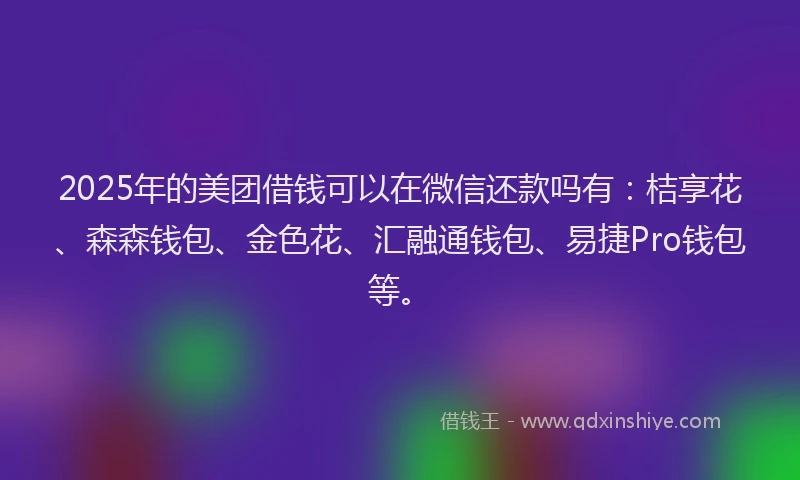 2025年的美团借钱可以在微信还款吗有：桔享花、森森钱包、金色花、汇融通钱包、易捷Pro钱包等。