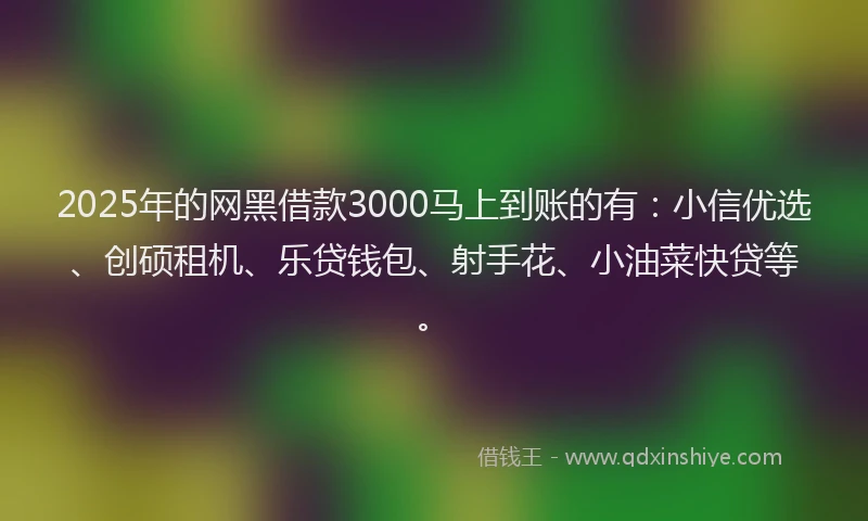 2025年的网黑借款3000马上到账的有：小信优选、创硕租机、乐贷钱包、射手花、小油菜快贷等。