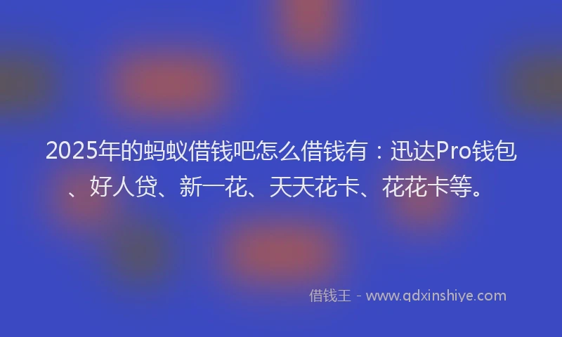 2025年的蚂蚁借钱吧怎么借钱有：迅达Pro钱包、好人贷、新一花、天天花卡、花花卡等。