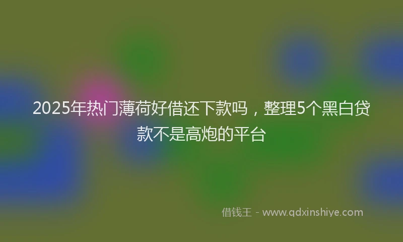 2025年热门薄荷好借还下款吗，整理5个黑白贷款不是高炮的平台