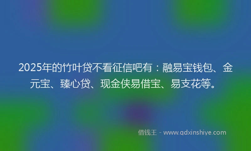 2025年的竹叶贷不看征信吧有：融易宝钱包、金元宝、臻心贷、现金侠易借宝、易支花等。