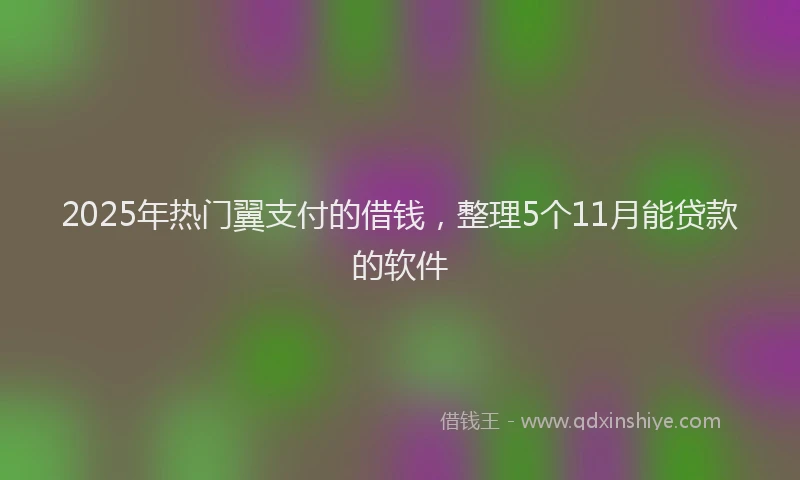 2025年热门翼支付的借钱，整理5个11月能贷款的软件