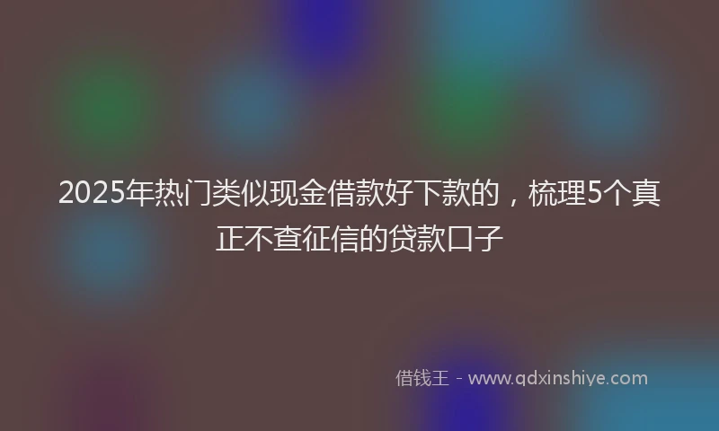 2025年热门类似现金借款好下款的，梳理5个真正不查征信的贷款口子