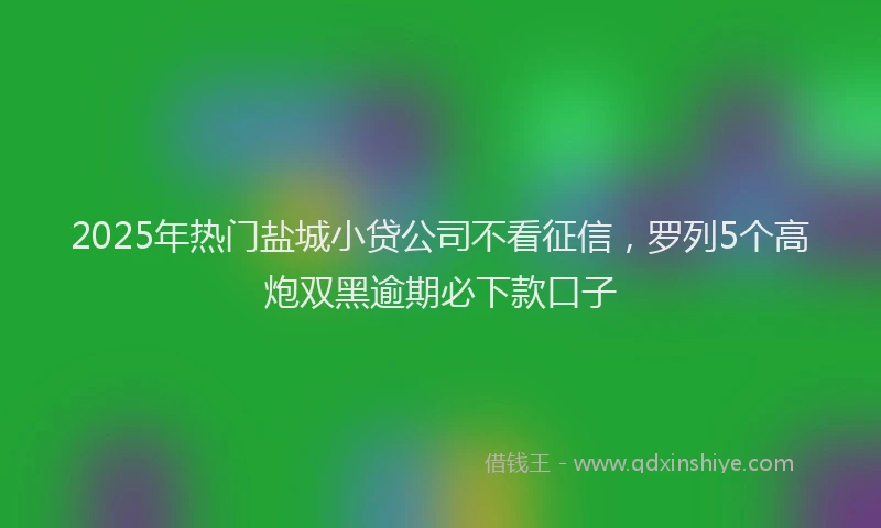 2025年热门盐城小贷公司不看征信，罗列5个高炮双黑逾期必下款口子