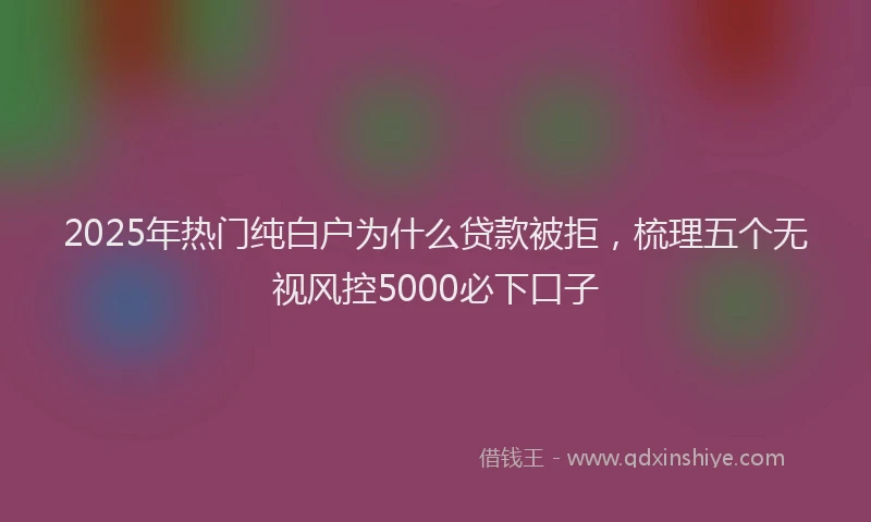 2025年热门纯白户为什么贷款被拒，梳理五个无视风控5000必下口子