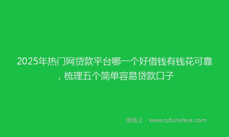 2025年热门网贷款平台哪一个好借钱有钱花可靠，梳理五个简单容易贷款口子