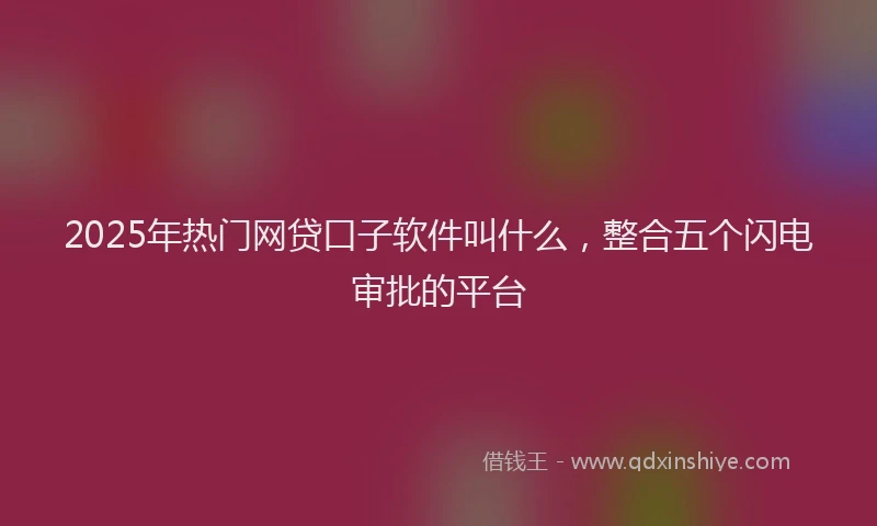 2025年热门网贷口子软件叫什么，整合五个闪电审批的平台