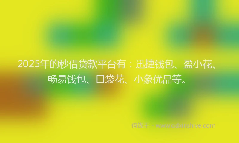 2025年的秒借贷款平台有：迅捷钱包、盈小花、畅易钱包、口袋花、小象优品等。